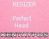 !!K! RERFECT RESIZE HEAD