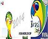 Brasil Coupe 2014