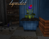 DL Potted Plant Red/Blue