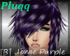 [B] Jorge Purple