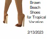 [BB] Beach Shoes Brown