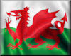 Welsh Flag pole