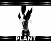 Plant Romance pvc