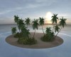 Sunset Tropics