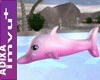 Dolphin Float 2022