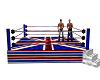 UK Animated Wrestle Ring