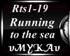 RUNNING TO THE SEA