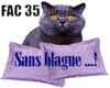 🧾 Sa Facture 🧾