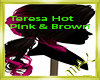 Teresa Hot Pink & Brown