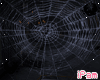 p. spider web 2