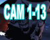 cam 1-13