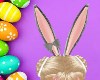 Kid Easter Bunny Ears