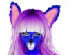 husky Purple blue ears