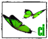 [Ci]Green Butterfly
