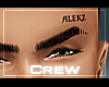 Tc. Alekz Custom Brows