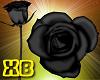 XB- BLACK GOTHIC ROSES