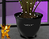 Ugly Plants | 👑
