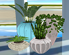 Four Potted Plants