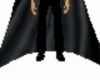 Zorro Pants