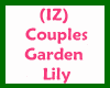 (IZ) Couples Garden Lily