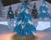 Snowy Blue Spruce Tree
