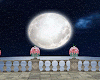 Romantic Moon DER. Room