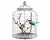 Beautiful Bird Cage