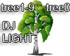 tree9 tree0 BIRCH TREE