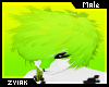 Z; Tox Hair M V3
