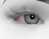 Grey Eyes Natural