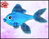 !Aquarius Blue Pet Fish