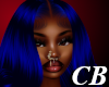 CB- Reeva Navy