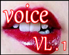 Voice - Femi 01 Mina FGC