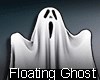 Floating Ghost Ani