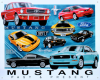 Mustang - Past & Present