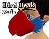Derivable Bird Beak male