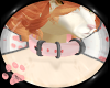 Pet Collar - PinkV1