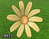 Yellow Daisy Decor