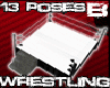 [B] 13P wrestling ring