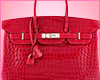 $49K USD R. CROC BIRKIN