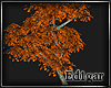 (ED1)DM-Tree-2