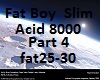 Fat Boy Slim Part4