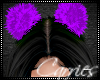 C Purple Hair Poms