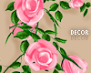T | Hot Pink Rose Vine