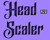 Head Scaler 2024