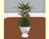 stone potted plant