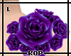 [KOP] Aquila Roses L