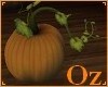 [Oz] - Halloween Pumpkin