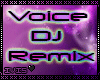 Voice DJ Remix 