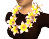 Lei in Orchid